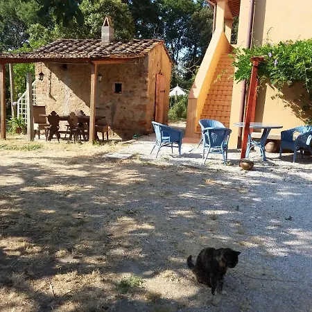 La Gatta E L'olivo - Casa Adele Appartamento