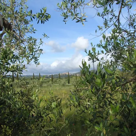 La Gatta E L'olivo - Casa Adele Appartamento Castagneto Carducci