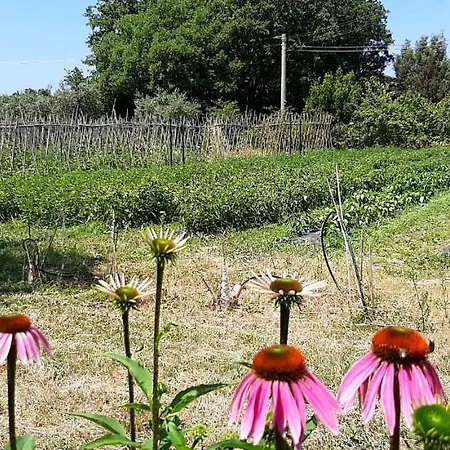 La Gatta E L'olivo - Casa Adele Appartamento Castagneto Carducci
