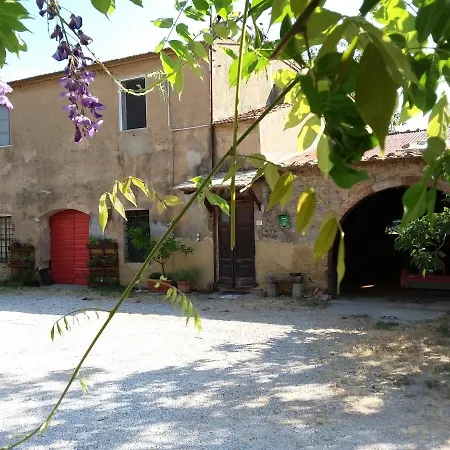 Appartamento La Gatta E L'olivo - Casa Adele