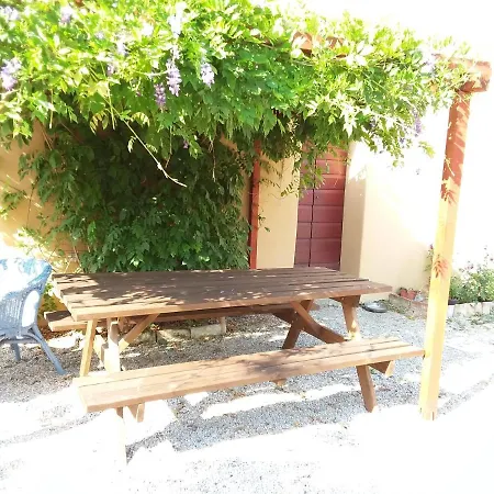 La Gatta E L'olivo - Casa Adele Appartamento Castagneto Carducci