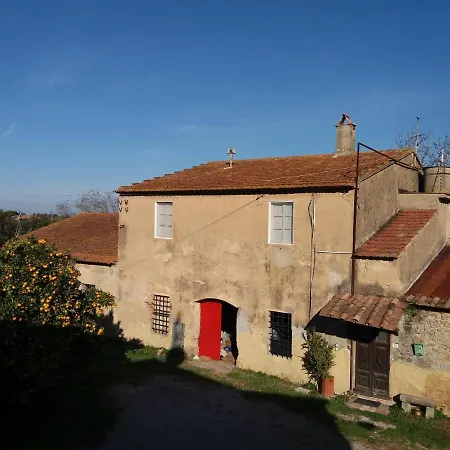 La Gatta E L'olivo - Casa Adele * Castagneto Carducci