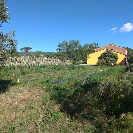 La Gatta E L'olivo - Casa Adele Appartamento Castagneto Carducci