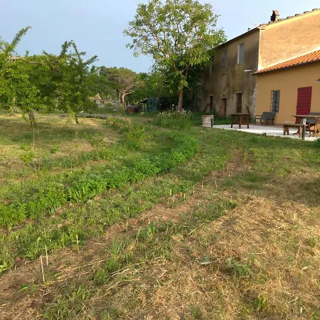 La Gatta E L'olivo - Casa Adele شقة *