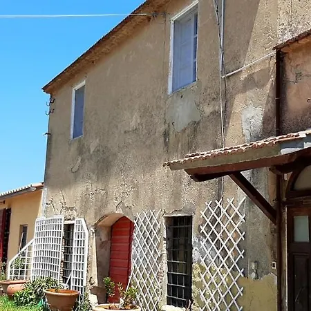 Apartman La Gatta E L'olivo - Casa Adele *
