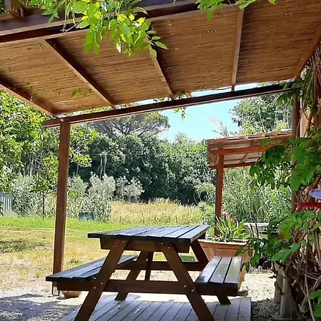 La Gatta E L'olivo - Casa Adele Appartamento Castagneto Carducci