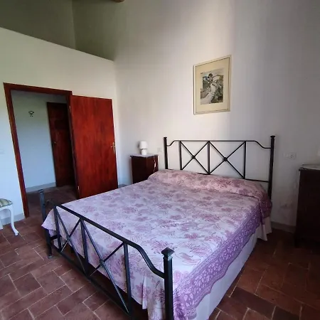 La Gatta E L'olivo - Casa Adele Castagneto Carducci