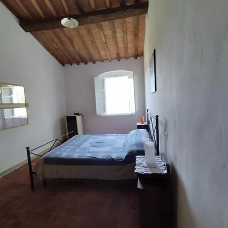 La Gatta E L'olivo - Casa Adele Appartamento Castagneto Carducci